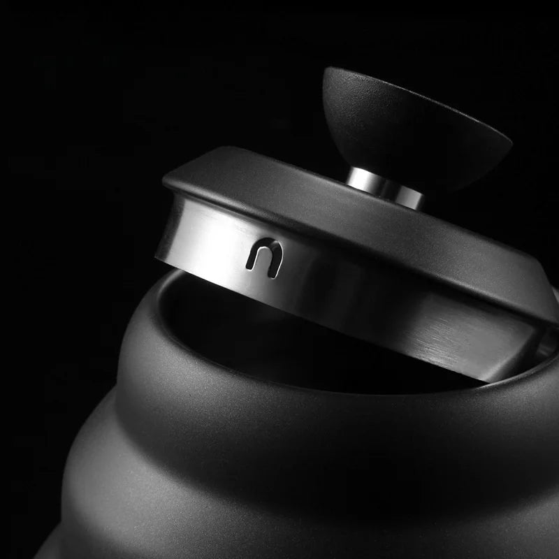 Bouilloire à bec verseur inox