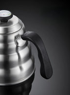 Bouilloire à bec verseur inox