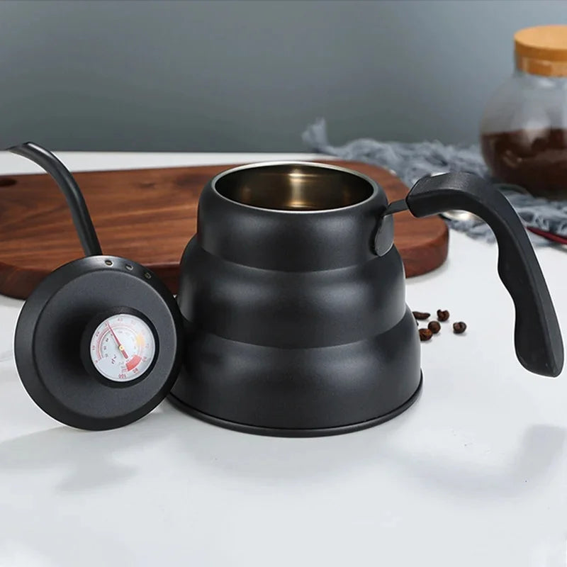 Bouilloire à bec verseur inox